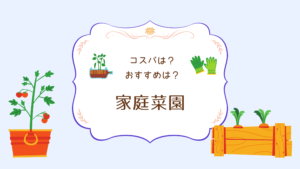 家庭菜園でコスパ最強はこの野菜！元をとるなら絶対おすすめ【初心者】