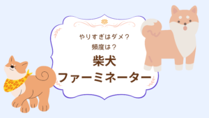 ファーミネーターをやりすぎたら柴犬はどうなる？正しい使用頻度と方法を解説