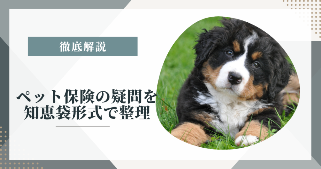 ペット保険の疑問を知恵袋形式で整理｜補償割合・通院補償・年齢制限を公式情報で確認
