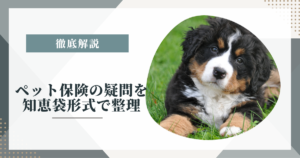 ペット保険の疑問を知恵袋形式で整理｜補償割合・通院補償・年齢制限を公式情報で確認
